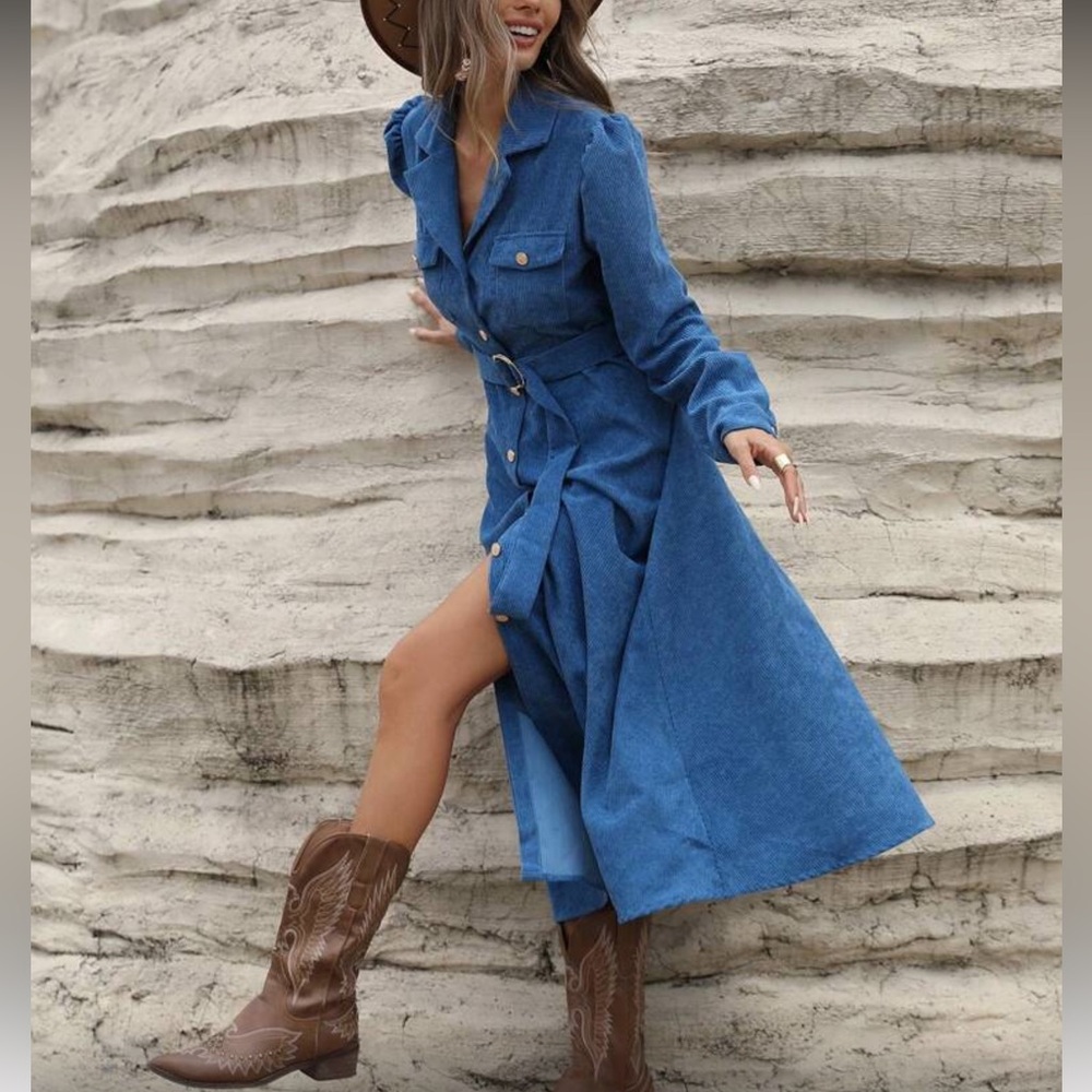 Elegant Blue Belted Button Down Corduroy Dress - Picture 5 of 8